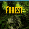 The Forest