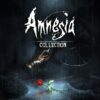 Amnesia Collection | NINTENDO
